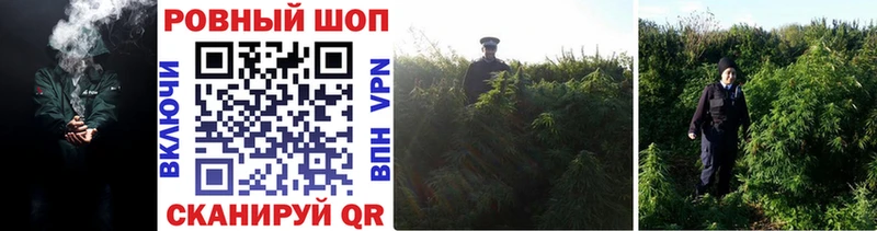 Наркошоп купить Alpha PVP Амфетамин Меф мяу мяу ГАШИШ COCAIN Городовиковск