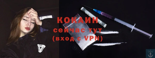 амф Верея
