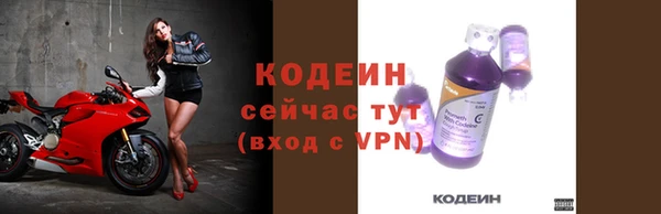 амф Верея