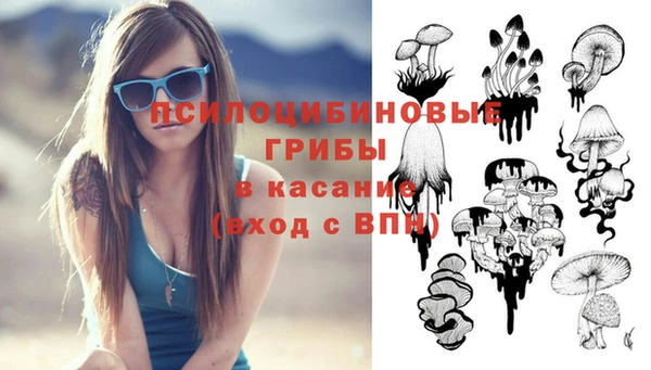 амф Верея