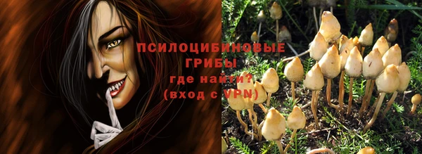 2c-b Верхний Тагил